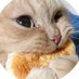 michu (@michu432) Twitter profile photo michu (@michu432) Twitter profile photo