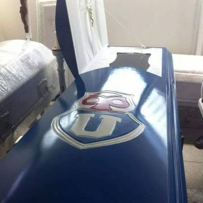 Hzk11127's profile picture. 