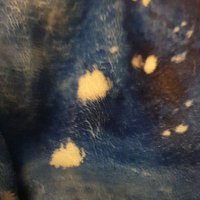 zengardener (@horsturode) 's Twitter Profile