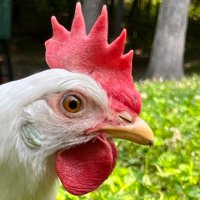 Miranda Pike (@mirandapik46948) 's Twitter Profile