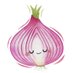 The Mormon Onion 🧅 (@LdsAccidentally) Twitter profile photo