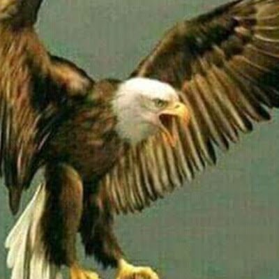 Caf2Cdi2's profile picture. 