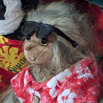 imsei's profile picture. 日常生活♪旅行♪初音ミク♪アニメ♪ゲーム♪ // Sharing daily life, travel, ACG and etc.