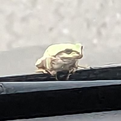 yakuaku4323's profile picture. 音楽だいすき