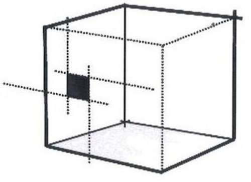 ms_thong's profile picture. to infinity and beyond....