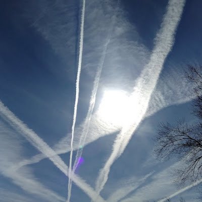leosrule284189's profile picture. 