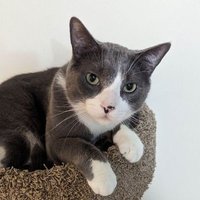 Randall Snurr (@randallsnurr) 's Twitter Profile