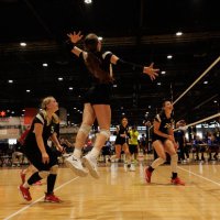 Hanna Klein (@hannaklein2026) 's Twitter Profile
