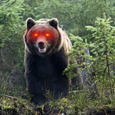 Srmichaelfarad's profile picture. 