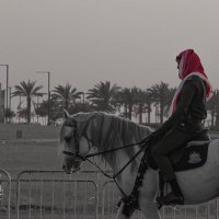 •• (@qiiipv) 's Twitter Profile