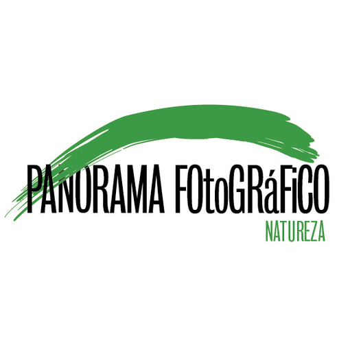 O Projeto Panorama Fotográfico trará a Salvador dez grandes fotógrafos, para ministrar palestras e workshops de Fotografia de Natureza.