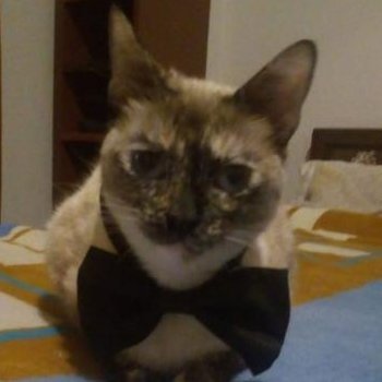 Daniel74_9's profile picture. 