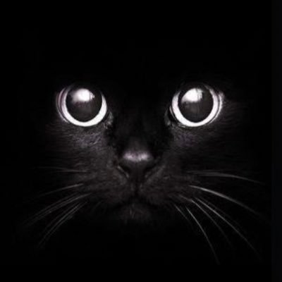 A_Chillykitty's profile picture. DJ ATAMI a.k.a. ChillyKitty🐈‍⬛DJ&Beatmaker(exclusive) 秋田 ▶︎ 東京 🐾COMACHI RECORDS 👹 SoundCloud、各種サブスクリプションにinstrumentalの曲を配信中⚡️