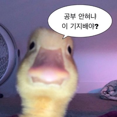 swaggin_flexer's profile picture. 예, 제가 그 자랑스러운 씨엔블루 데뷔팬입니다.