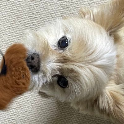 🎀나대언니🎀さんのプロフィール画像