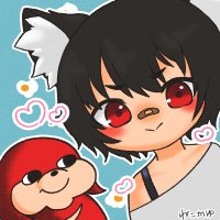 空飛ぶ白菜の民 (@neko_kayu) 's Twitter Profile Photo