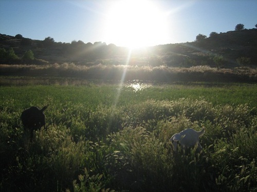 JehniferTheory's profile picture. Biologist-Philosopher-Economist