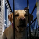 Matt Wheeldon - @mwheelie1971 - Twitter