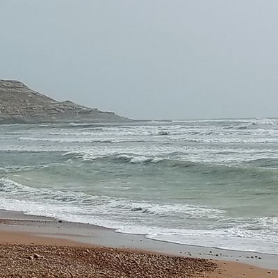 MRehan11512's profile picture. 