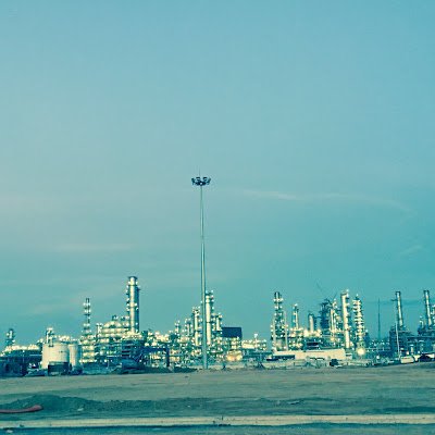 shin20202022's profile picture. 