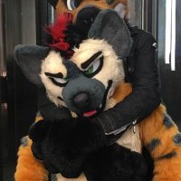 Kai HYENA SLEEPER ▶️ FWA (@kaiyeena) 's Twitter Profile