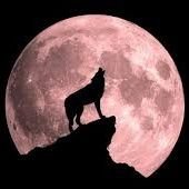 dwadi2000's profile picture. عاشق للتقنية شغوف بالذكاء الاصطناعي