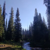 snowhound (@snowhound208) 's Twitter Profile