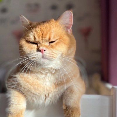 Janefrancess05's profile picture. 👑Her Majesty👸💫