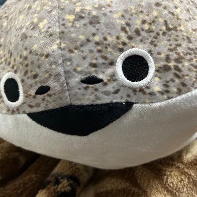 Shiroha_124's profile picture. いきてます。