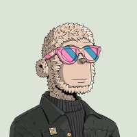 JACQUES 🧱 (@jacques_debrie) 's Twitter Profile Photo JACQUES 🧱 (@jacques_debrie) 's Twitter Profile Photo