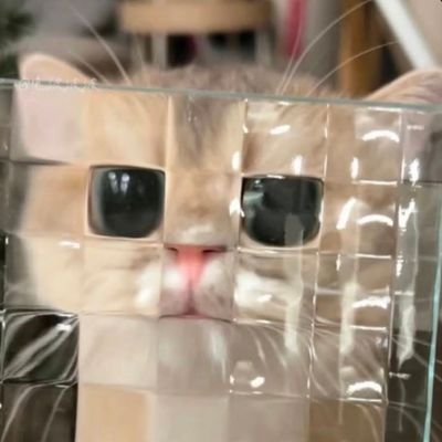 Nie_thirteen's profile picture. 不想上班 \n
博德之门真好玩