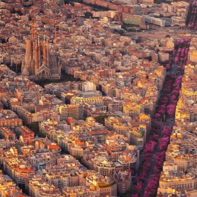L’existence du Parti Socialiste et du Fc Barcelone ruine ma vie