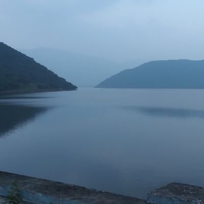 cryptoworld6534's profile picture. Rock