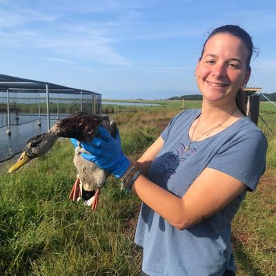 PhD student at @linneuni studying avian influenza in wild birds. Interested in ecology and physiology of migration. I love food, team sport and nature 🍝🏐🐦🌲