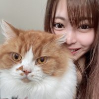 吉原舞 (@koyukaruro) 's Twitter Profile Photo