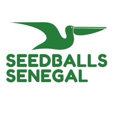 Seedballs-Senegal: Aircrafts and Seedballs for the Great Green Wall // Des Aéronefs et des Seedballs pour la Grande Muraille Verte