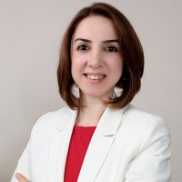 Elif Sözer(@Noromimari) 's Twitter Profile Photo