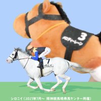 藤堂 (@bakenhaofuse) Twitter profile photo