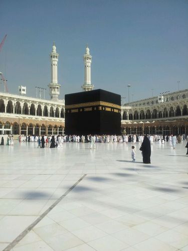 أ.د. عبدالإله بن صالح المديميغ