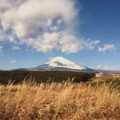 AyameKawag81914's profile picture. ファッションと美容に興味あり