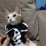 EUFrrdEMIA's profile picture. ��