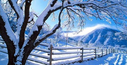 dytikifthiotida's profile picture. ΕΝΑΣ ΤΟΠΟΣ ΜΕ ΜΟΝΑΔΙΚΗ ΓΟΗΤΕΙΑ!!!