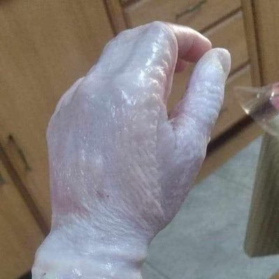 kimchoypadillo3's profile picture. 