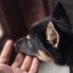 puma (@pumao_0) Twitter profile photo puma (@pumao_0) Twitter profile photo