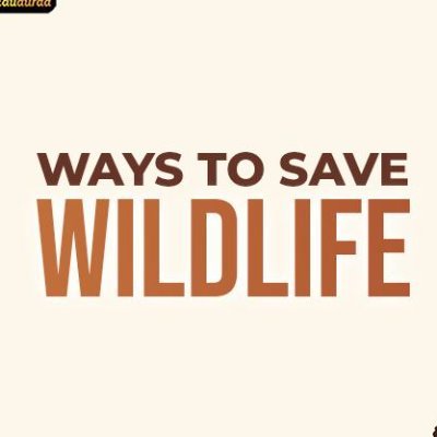 Wildlife Activist
Gmail:- mhwildlifeupdate@gmail.com
FB :- https://t.co/A0IyEcHZK9