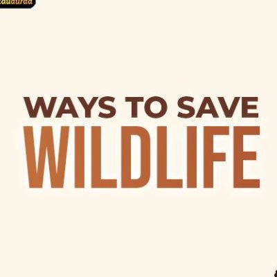 Wildlife Activist

Gmail:-  mhwildlifeupdate@gmail.com
FB :- https://t.co/A0IyEcHZK9