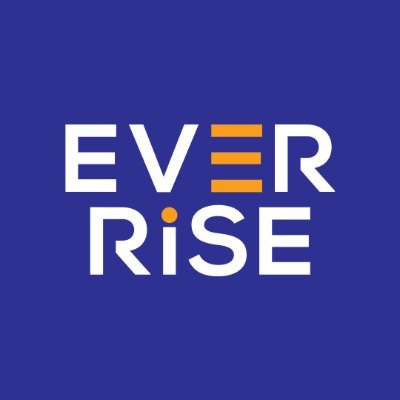 Ever Rise was established in 2013 in the Emirate of Dubai, by a team of seasoned professionals.