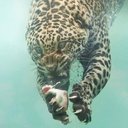 Anthony Sherriff - @AnthonySher1983 - Twitter