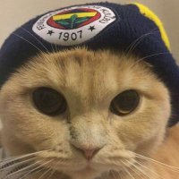 jrfener (@jrfener) Twitter profile photo