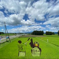 chimuharu (@chimurah) 's Twitter Profile